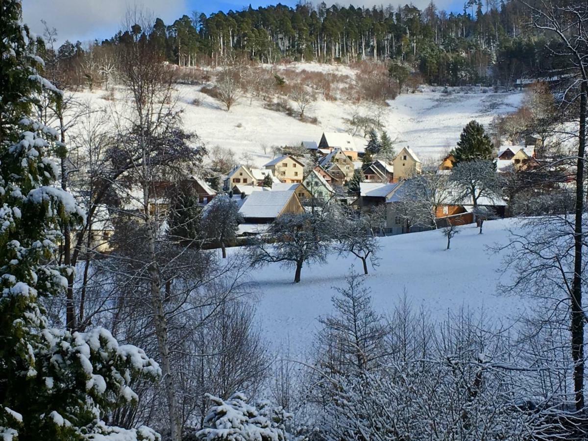 Gite Chez Vero Breitenbach-Haut-Rhin Exterior photo